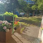 Lovely And Free Parking