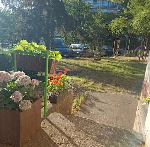 Lovely And Free Parking